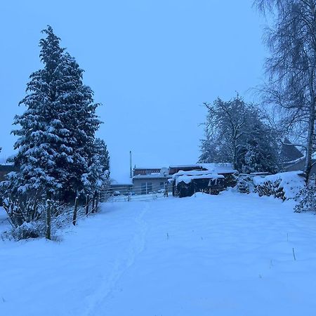 Ferienwohnung Classen Eifel Schleiden Exterior foto