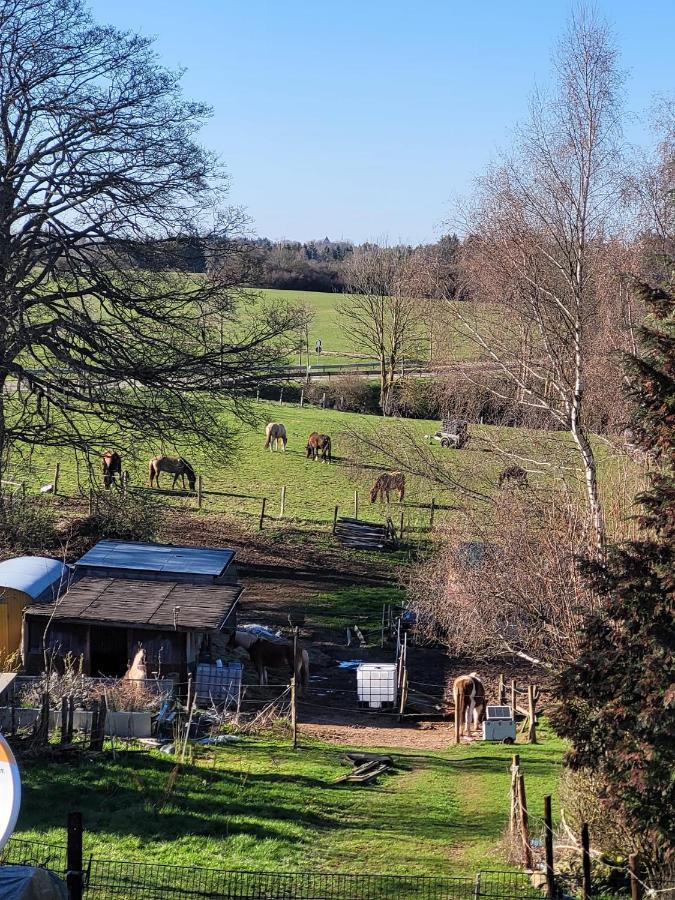 Ferienwohnung Classen Eifel Schleiden Exterior foto