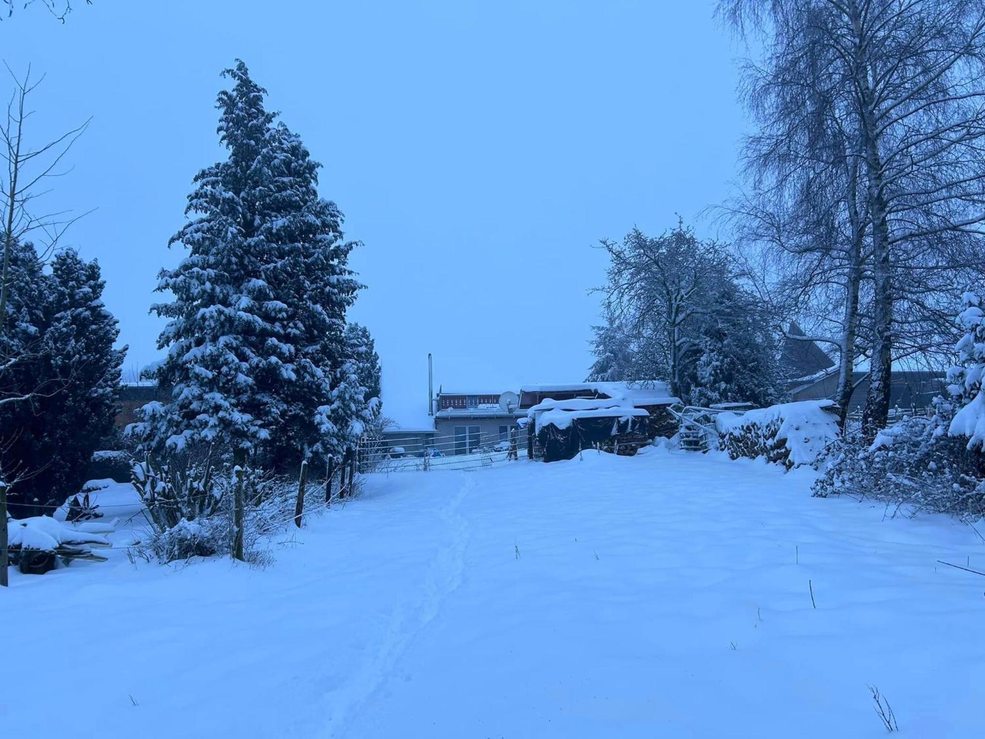 Ferienwohnung Classen Eifel Schleiden Exterior foto